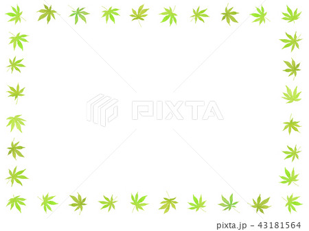 新緑もみじフレーム　四角　水彩 43181564