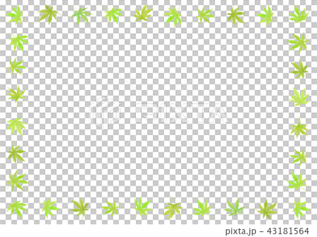 新緑もみじフレーム　四角　水彩 43181564