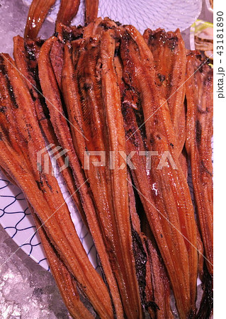 穴子 穴子 43181890