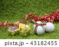 Merry Christmas to golfer 43182455