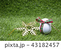 Merry Christmas to golfer 43182457