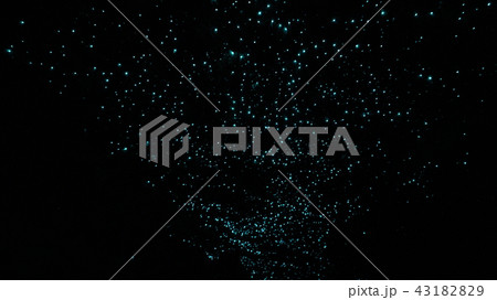 【ニュージーランド】洞窟の星空3 43182829