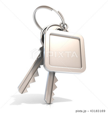 Two door keys and square blank label on ring. 3D 43183169