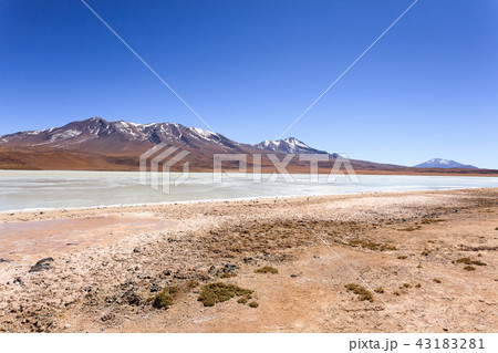 Laguna Hedionda view, Bolivia 43183281