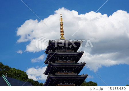 中山寺 中山寺 43183480