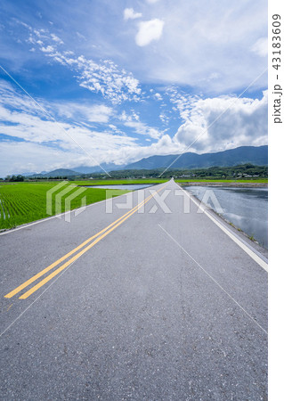 並木道 街路 アベニュー 43183609