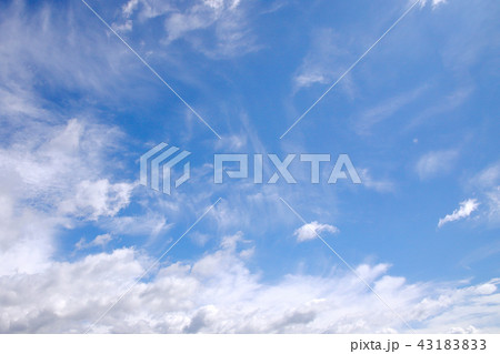 空 空 43183833