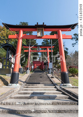 まけきらい稲荷大鳥居 43183949