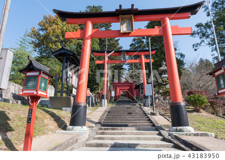 まけきらい稲荷大鳥居 まけきらい稲荷大鳥居 43183950