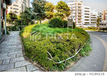 郡代屋敷跡 郡代屋敷跡 43184219