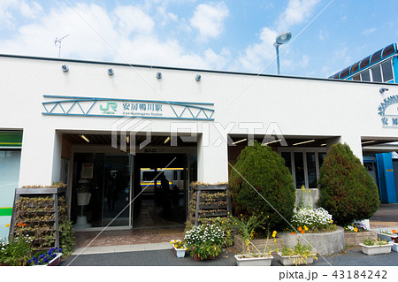 [千葉県]　安房鴨川　 43184242