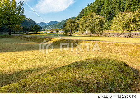 米津 一乗谷朝倉氏遺跡 米津 一乗谷朝倉氏遺跡 43185084