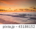 夕焼けのビーチ 43186152