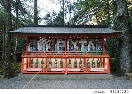 宇佐神宮　酒樽　奉納　大分県 43186289