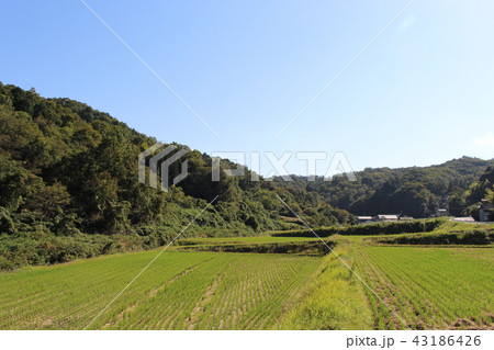 吉備中央町の田園風景 吉備中央町の田園風景 43186426