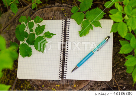Top view of open spiral blank notepad with pen 43186880