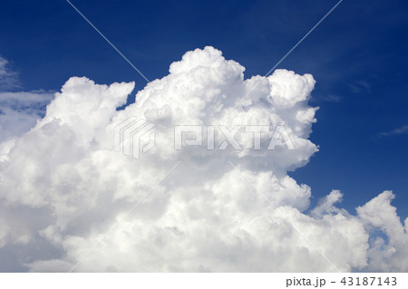 夏の空 夏の空 43187143