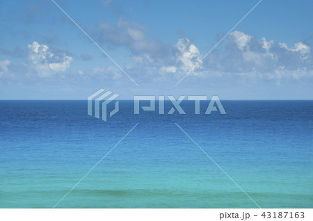 真夏のカリブ海 真夏のカリブ海 43187163