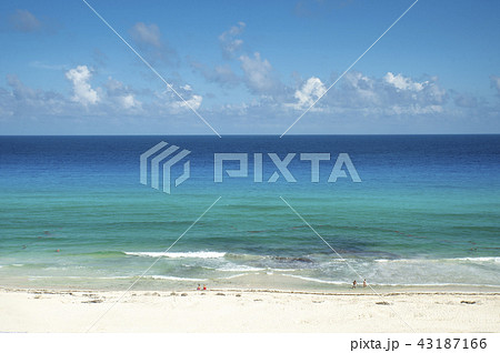 メキシコカンクンの砂浜 メキシコカンクンの砂浜 43187166