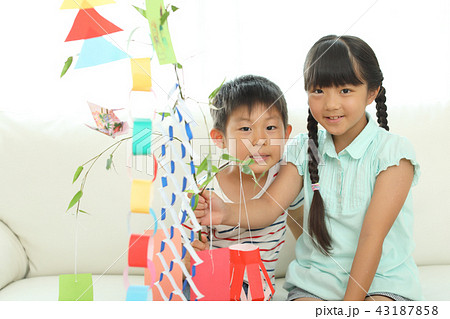 七夕飾りを作る女の子と男の子 七夕飾りを作る女の子と男の子 43187858