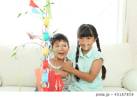 七夕飾りを作る女の子と男の子 七夕飾りを作る女の子と男の子 43187859
