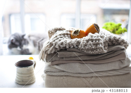 A house cat on the window, a lot of winter warm clothes, a scarf, fruit, an autumn and a mug of tea. A house cat on the window, a lot of winter warm clothes, a scarf, fruit, an autumn and a mug of tea. 43188013
