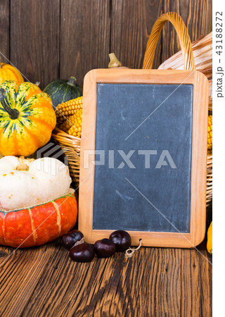 Autumn harvest motive with various pumpkins 43188272
