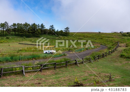 【長野県】高ボッチ高原の草競馬場 43188783