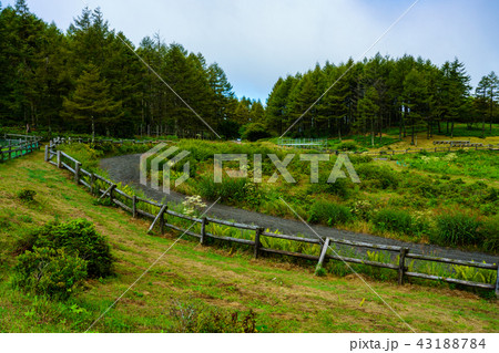 【長野県】高ボッチ高原の草競馬場 43188784