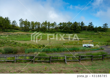 【長野県】高ボッチ高原の草競馬場 43188785