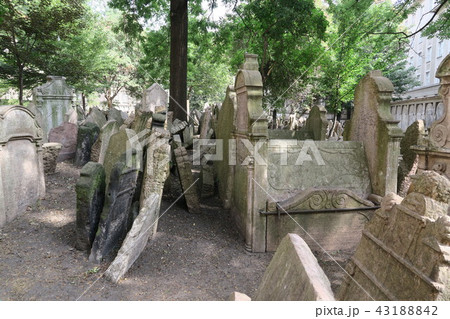 プラハ ユダヤ博物館 旧ユダヤ人墓地 プラハ ユダヤ博物館 旧ユダヤ人墓地 43188842