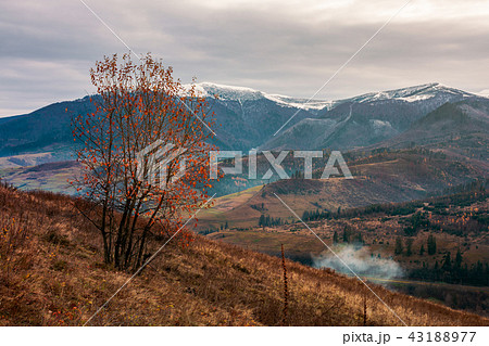 gloomy late autumn scenery 43188977