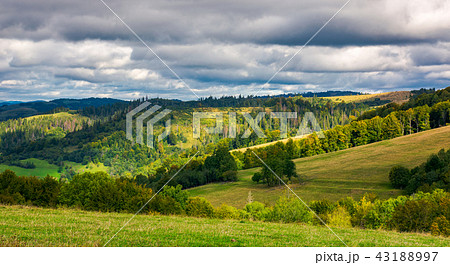 forested rolling hill on overcast day 43188997