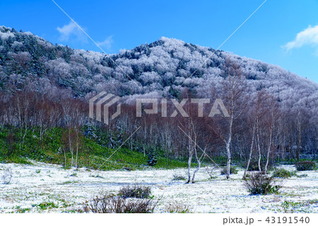 風景物語 里山の晩秋 初雪 風景物語 里山の晩秋 初雪 43191540