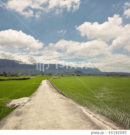 landscape of road landscape of road 43192095