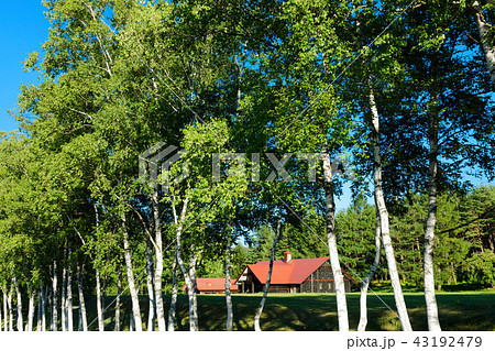 八幡平の木工工芸センターと白樺並木 43192479