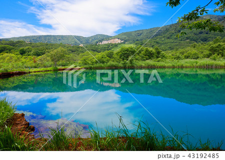 八幡平 青すぎる御在所の赤沼 岩手県八幡平市 八幡平 青すぎる御在所の赤沼 岩手県八幡平市 43192485
