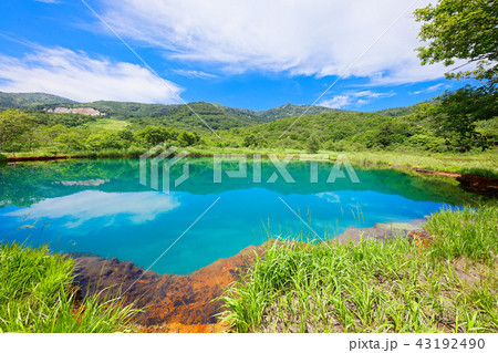 八幡平　青すぎる御在所の赤沼　岩手県八幡平市 43192490