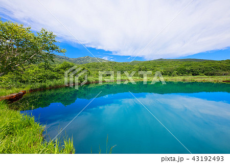 八幡平 青すぎる御在所の赤沼 岩手県八幡平市 八幡平 青すぎる御在所の赤沼 岩手県八幡平市 43192493