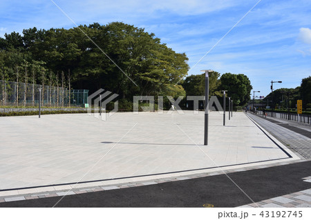 東京オリンピックに向け改修した大井ふ頭中央海浜公園スポーツの森のエントランス部 東京オリンピックに向け改修した大井ふ頭中央海浜公園スポーツの森のエントランス部 43192745