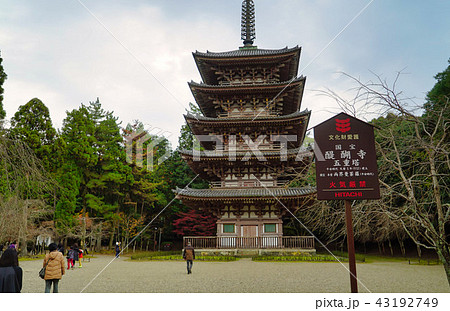 秋色の国宝　醍醐寺五重塔 43192749