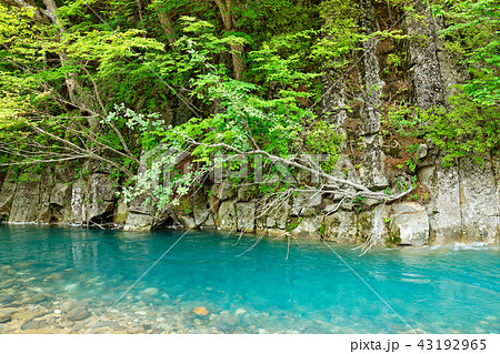松川渓谷 玄武岩柱状節理 岩手県八幡平市の写真素材
