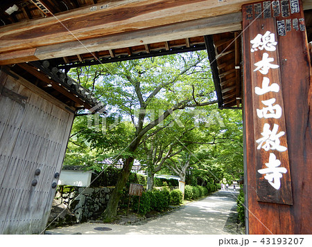 大津市 西教寺の総門 大津市 西教寺の総門 43193207