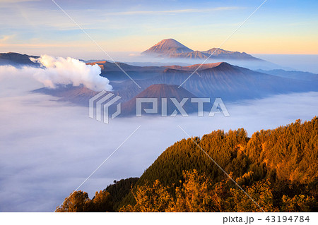 Bromo volcano at sunrise, East Java, Indonesia 43194784