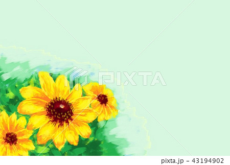 ルドベキア 43194902