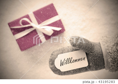 Pink Gift, Glove, Willkommen Means Welcome Pink Gift, Glove, Willkommen Means Welcome 43195283