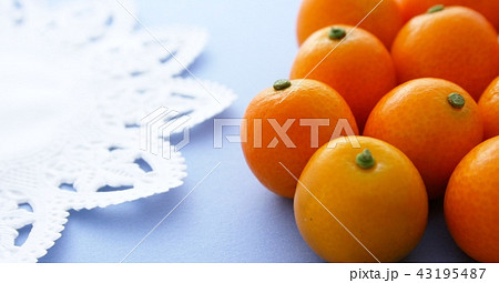 きんかん 43195487