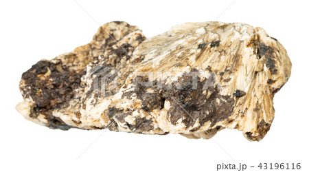 Perovskite stone in rough Clinochlore isolated 43196116