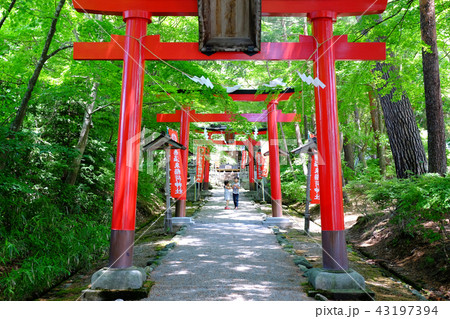 花巻温泉稲荷神社 花巻温泉稲荷神社 43197394
