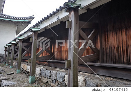 名古屋城の城下町、日本文化と日本庭園 43197416
